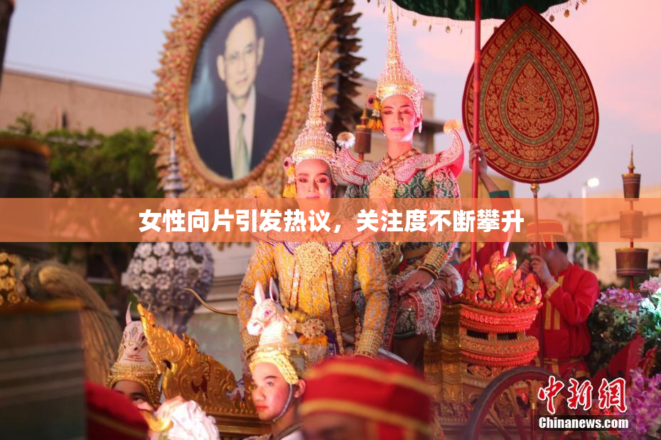 女性向片引发热议，关注度不断攀升