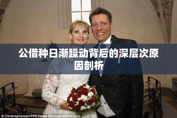 公借种日渐躁动背后的深层次原因剖析
