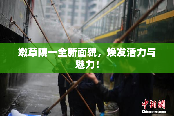 嫩草院一全新面貌，焕发活力与魅力！