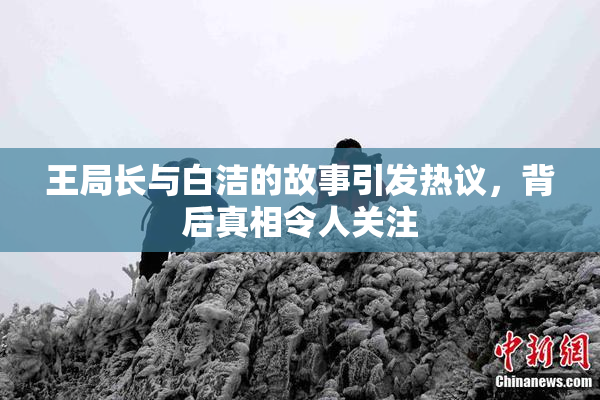 王局长与白洁的故事引发热议，背后真相令人关注