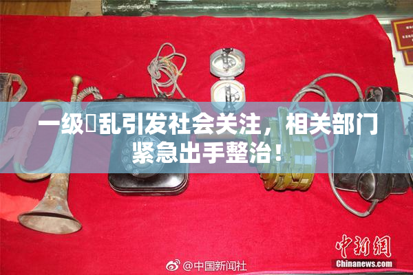 一级婬乱引发社会关注，相关部门紧急出手整治！