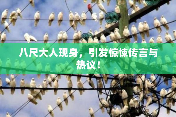 八尺大人现身，引发惊悚传言与热议！