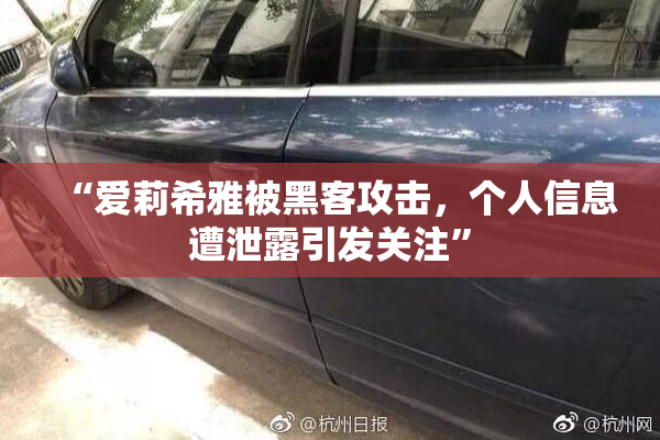“爱莉希雅被黑客攻击，个人信息遭泄露引发关注”