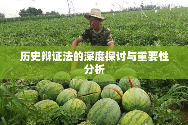 历史辩证法的深度探讨与重要性分析