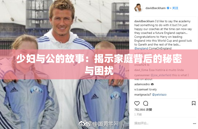 少妇与公的故事：揭示家庭背后的秘密与困扰