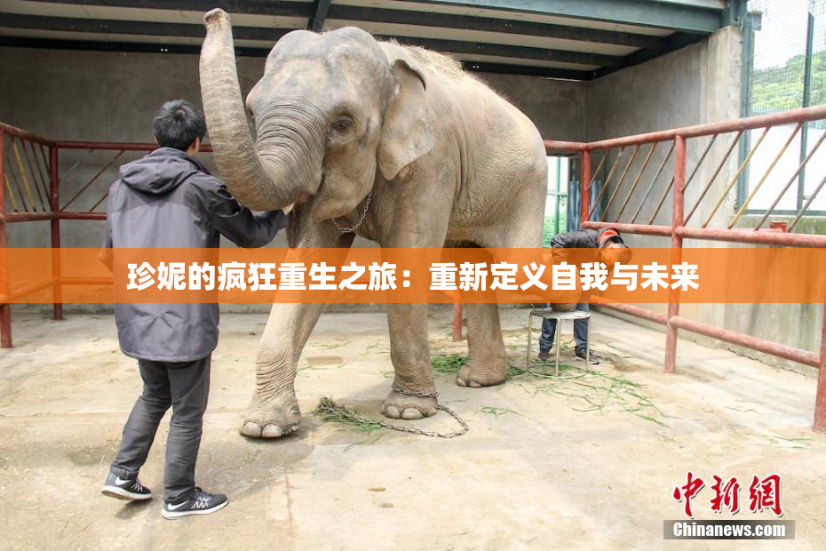 珍妮的疯狂重生之旅：重新定义自我与未来