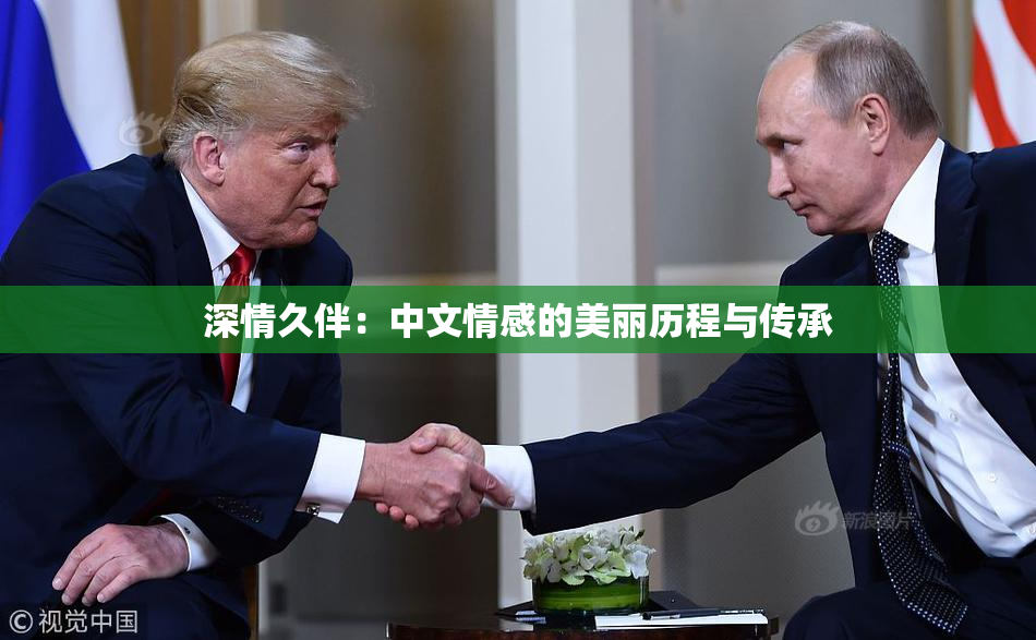 深情久伴：中文情感的美丽历程与传承