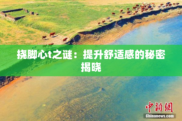 挠脚心t之谜：提升舒适感的秘密揭晓