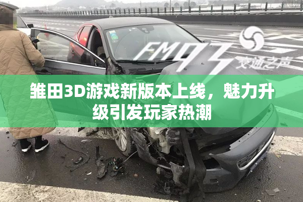 雏田3D游戏新版本上线，魅力升级引发玩家热潮