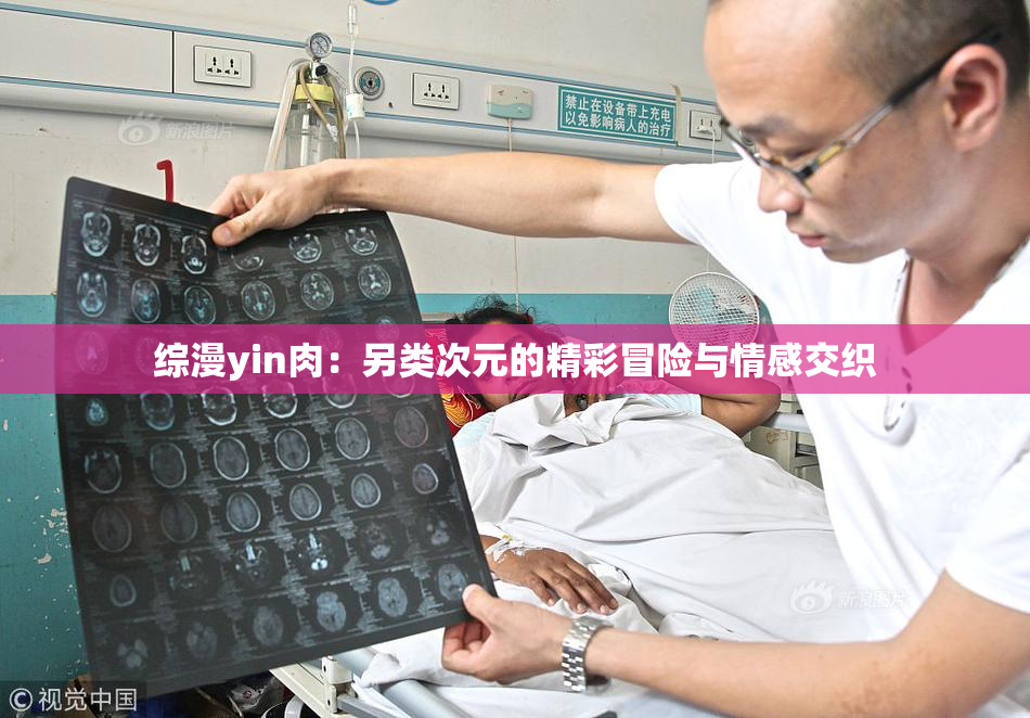 综漫yin肉：另类次元的精彩冒险与情感交织