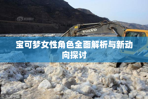 宝可梦女性角色全面解析与新动向探讨