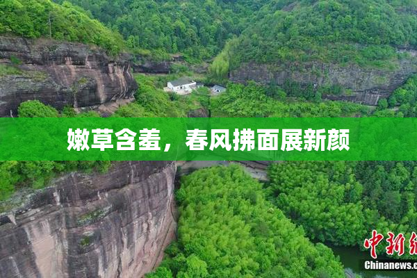 嫩草含羞，春风拂面展新颜