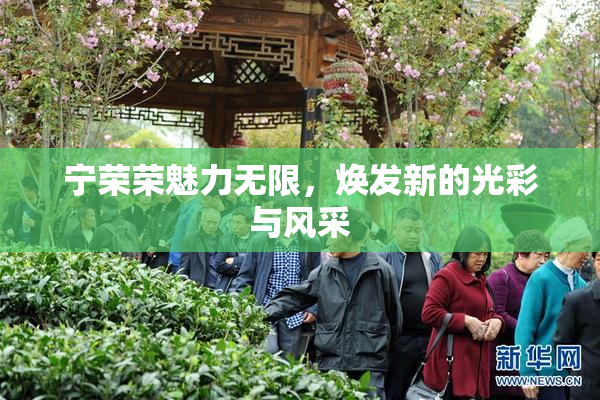 宁荣荣魅力无限，焕发新的光彩与风采
