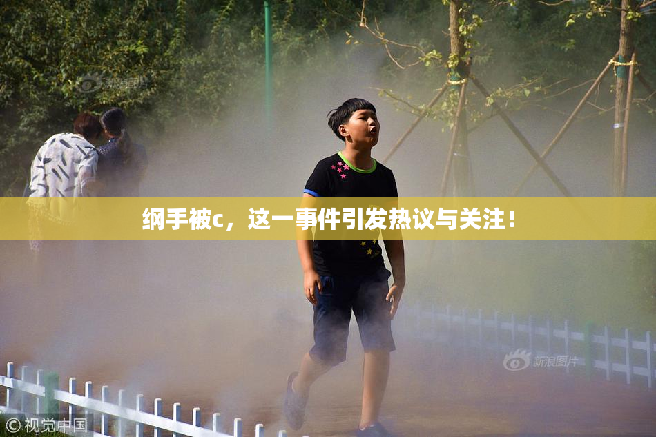 纲手被c，这一事件引发热议与关注！