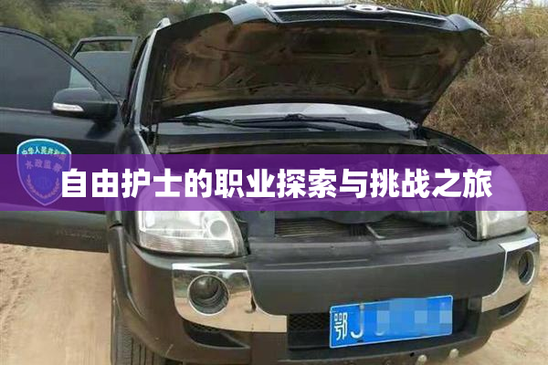 自由护士的职业探索与挑战之旅