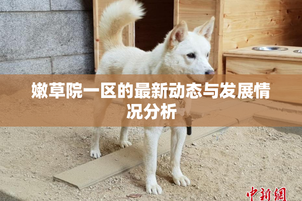 嫩草院一区的最新动态与发展情况分析