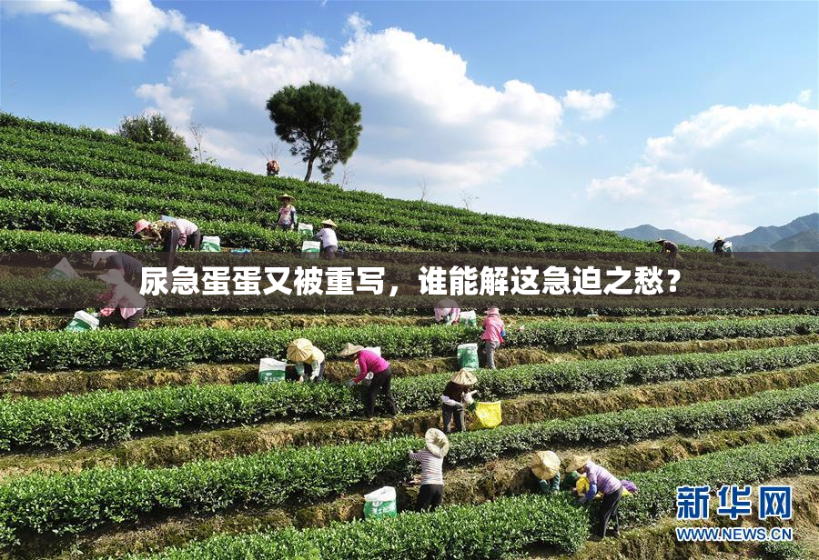 尿急蛋蛋又被重写，谁能解这急迫之愁？