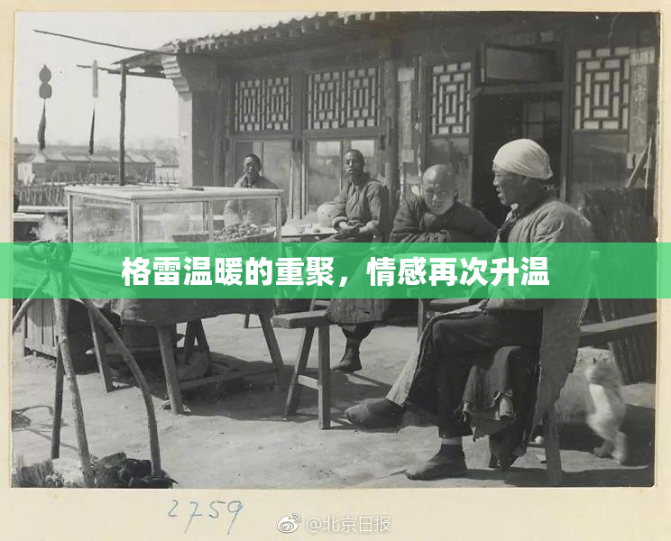 格雷温暖的重聚，情感再次升温