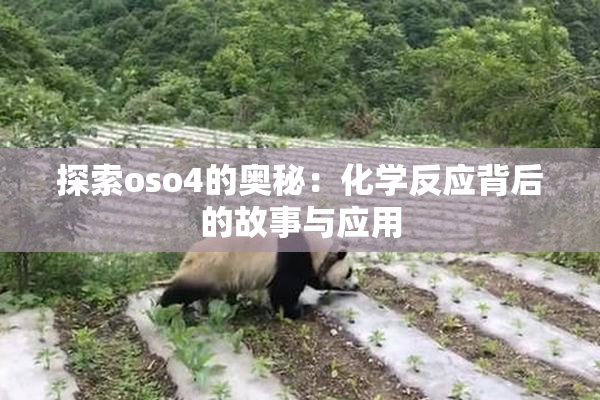 探索oso4的奥秘：化学反应背后的故事与应用