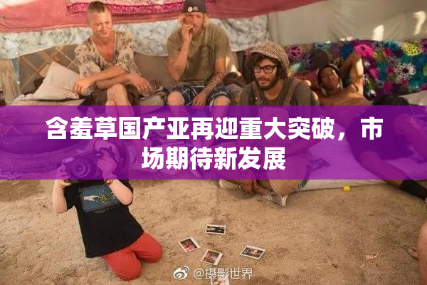 含羞草国产亚再迎重大突破，市场期待新发展