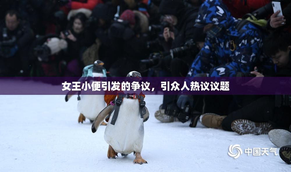 女王小便引发的争议，引众人热议议题