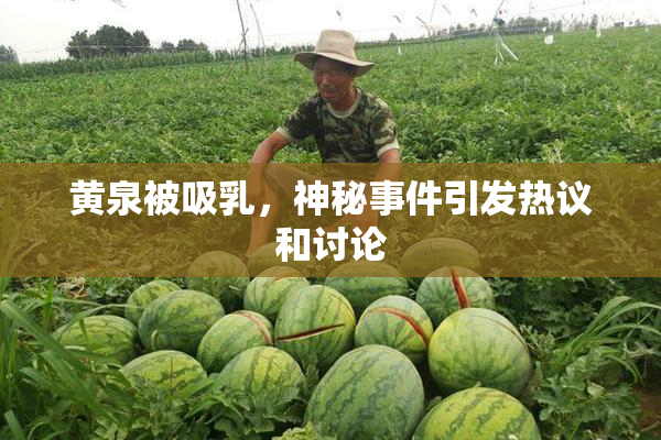黄泉被吸乳，神秘事件引发热议和讨论