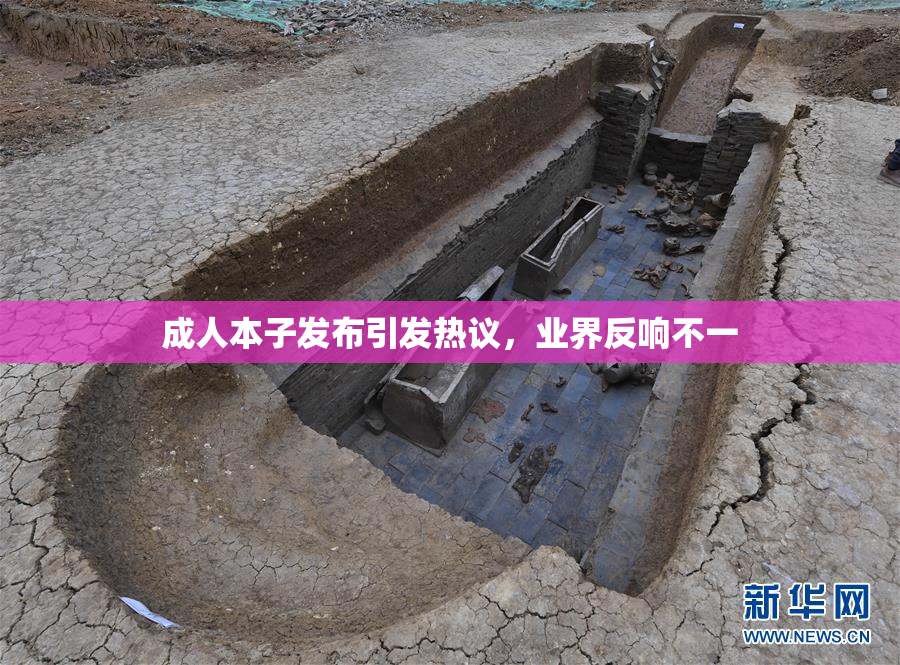 成人本子发布引发热议，业界反响不一