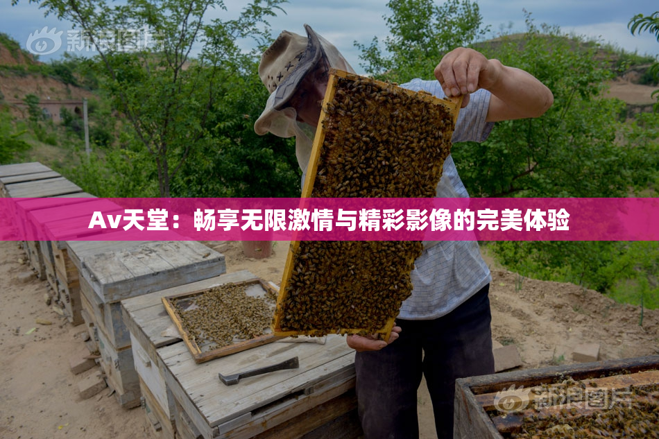 Av天堂：畅享无限激情与精彩影像的完美体验