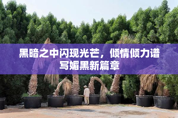 黑暗之中闪现光芒，倾情倾力谱写媚黑新篇章