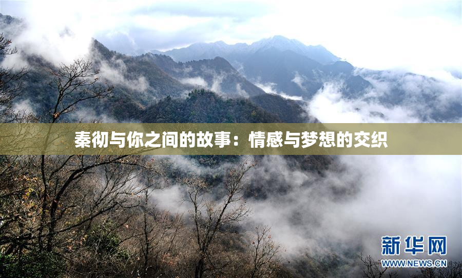 秦彻与你之间的故事：情感与梦想的交织