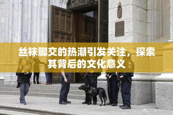 丝袜脚交的热潮引发关注，探索其背后的文化意义