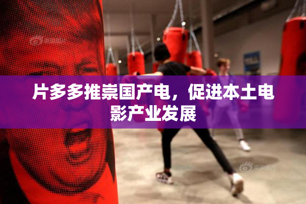 片多多推崇国产电，促进本土电影产业发展