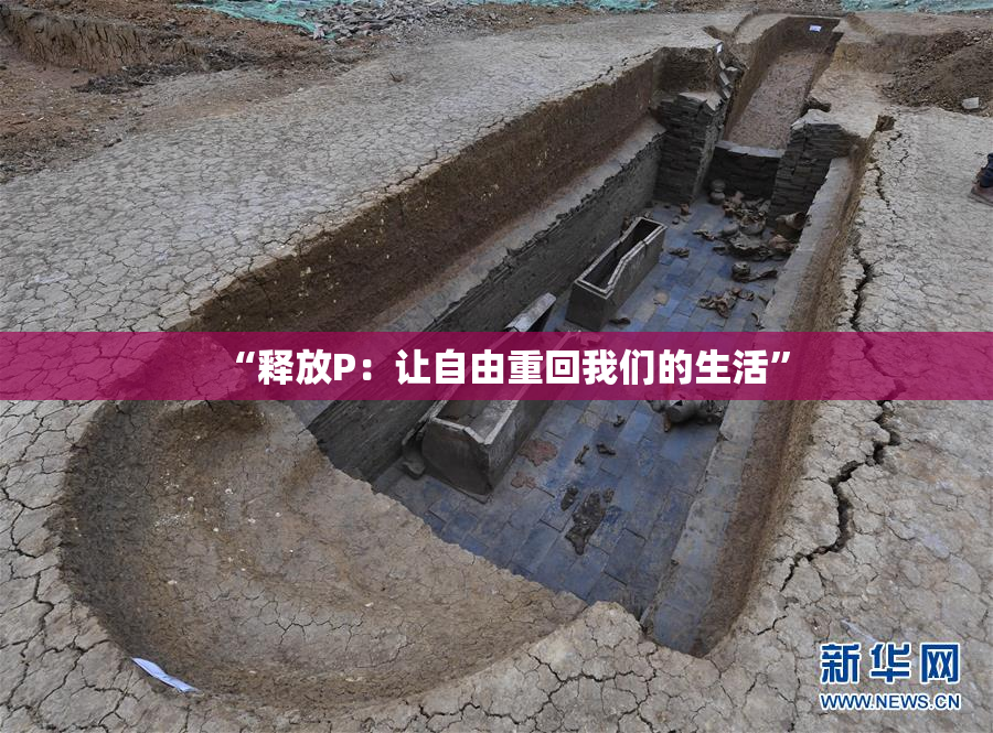“释放P：让自由重回我们的生活”