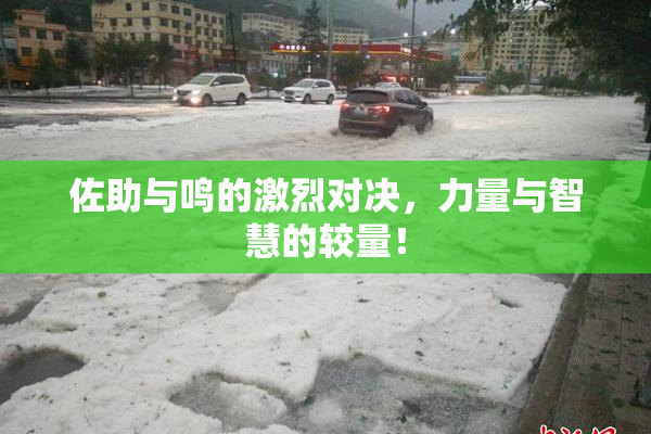 佐助与鸣的激烈对决，力量与智慧的较量！
