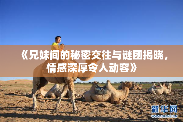 《兄妹间的秘密交往与谜团揭晓，情感深厚令人动容》