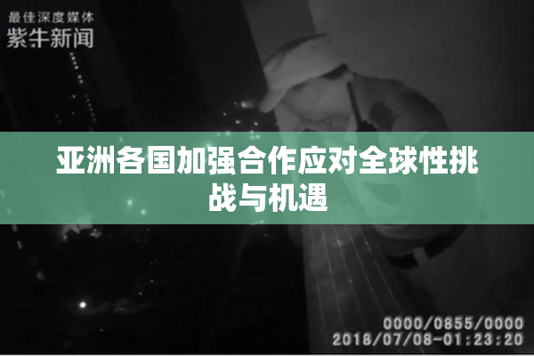 亚洲各国加强合作应对全球性挑战与机遇