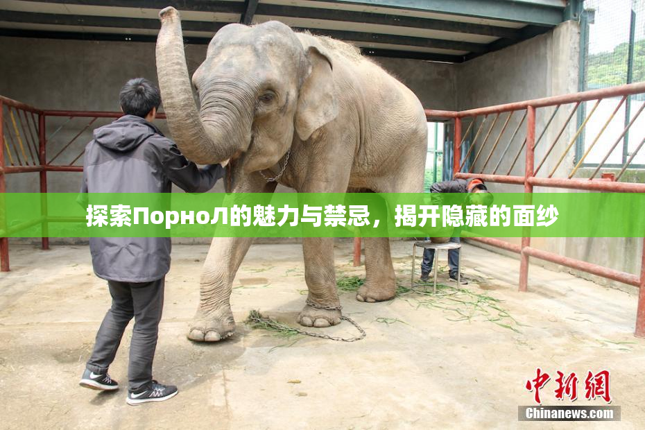 探索ПорноЛ的魅力与禁忌，揭开隐藏的面纱