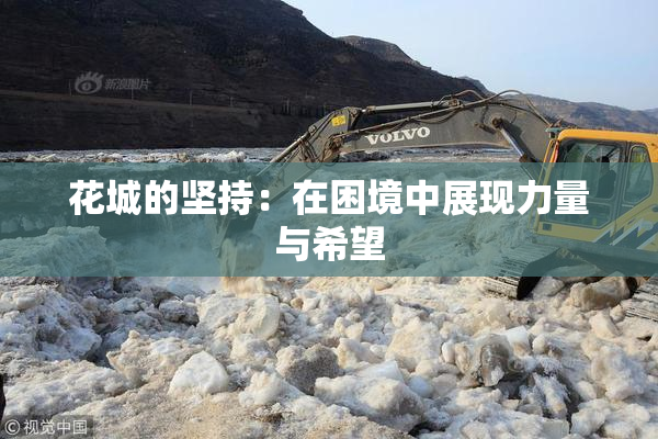 花城的坚持：在困境中展现力量与希望