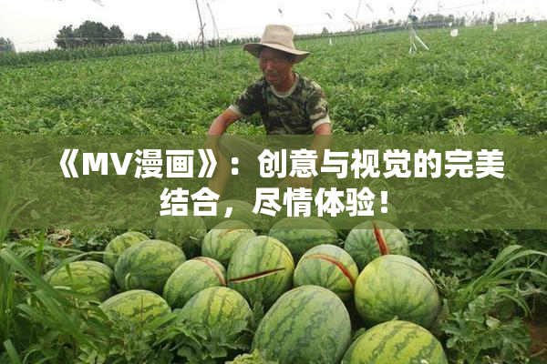 《MV漫画》：创意与视觉的完美结合，尽情体验！