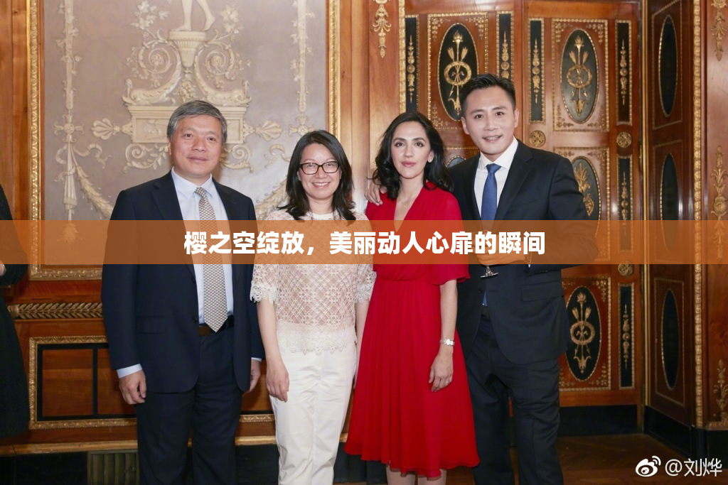 樱之空绽放，美丽动人心扉的瞬间