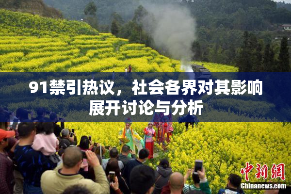 91禁引热议，社会各界对其影响展开讨论与分析