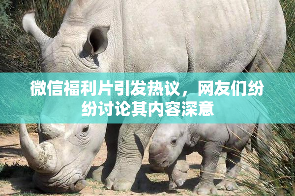 微信福利片引发热议，网友们纷纷讨论其内容深意