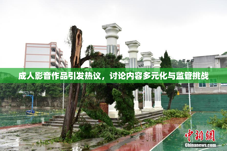 成人影音作品引发热议，讨论内容多元化与监管挑战