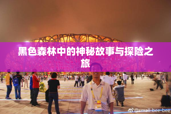 黑色森林中的神秘故事与探险之旅