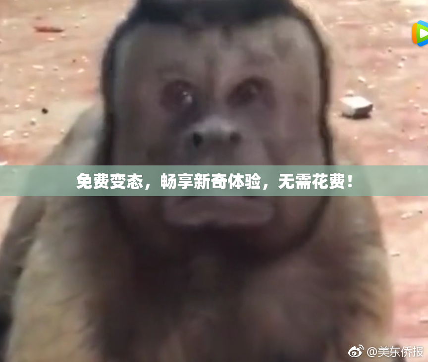 免费变态，畅享新奇体验，无需花费！