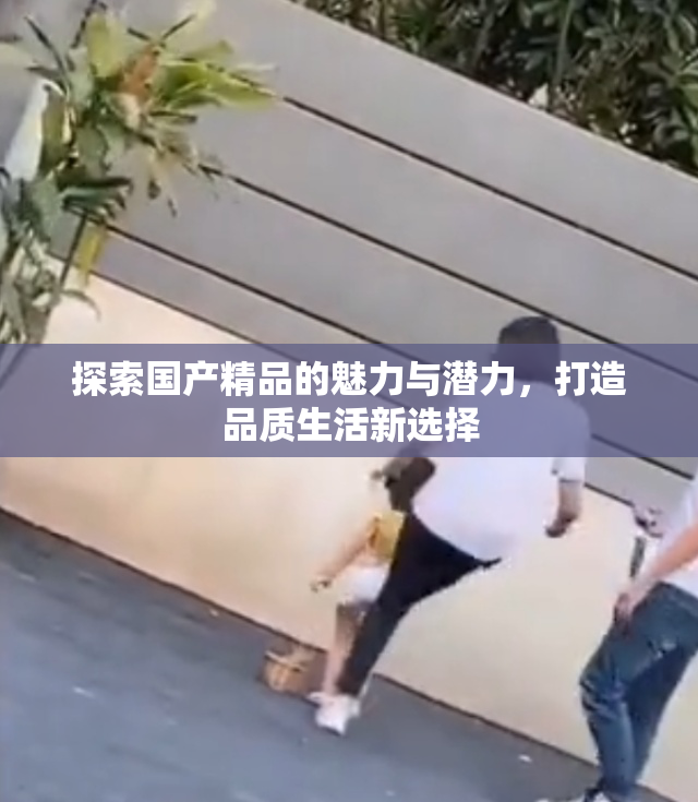 探索国产精品的魅力与潜力，打造品质生活新选择