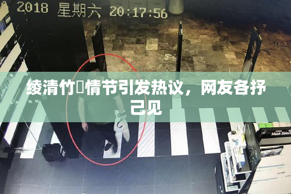 绫清竹婬情节引发热议，网友各抒己见