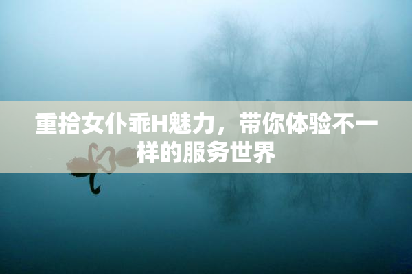 重拾女仆乖H魅力，带你体验不一样的服务世界