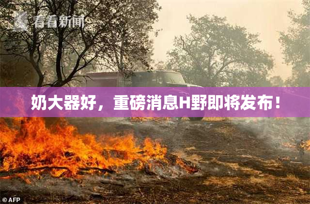 奶大器好，重磅消息H野即将发布！