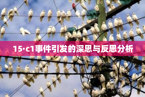 15·c1事件引发的深思与反思分析
